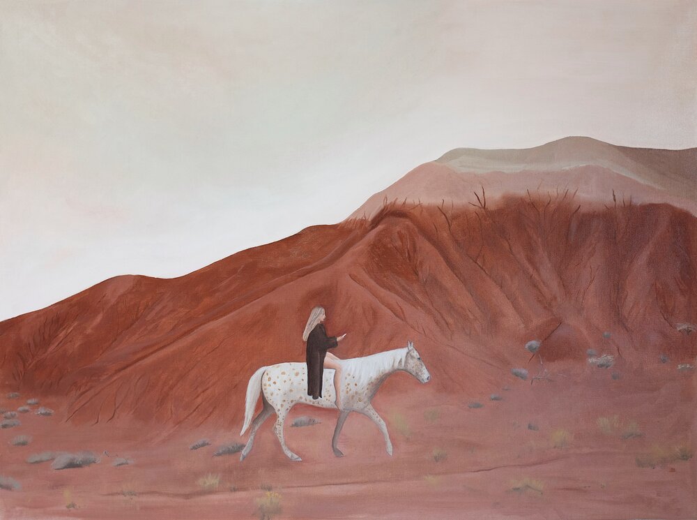 Appaloosa in the Painted Hills